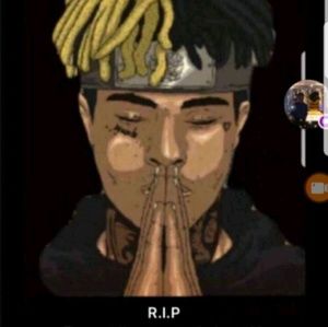 Meet your Posher, Taisha